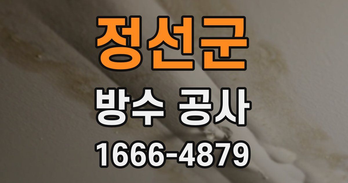 정선군 방수 공사