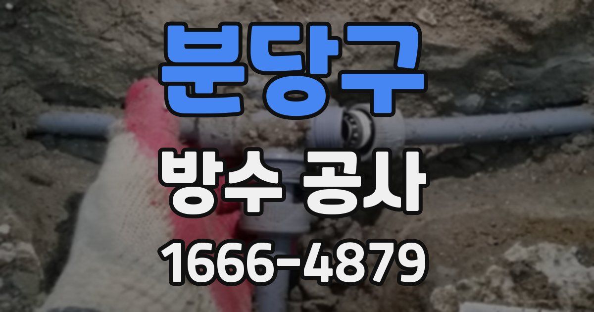 분당구 방수 공사