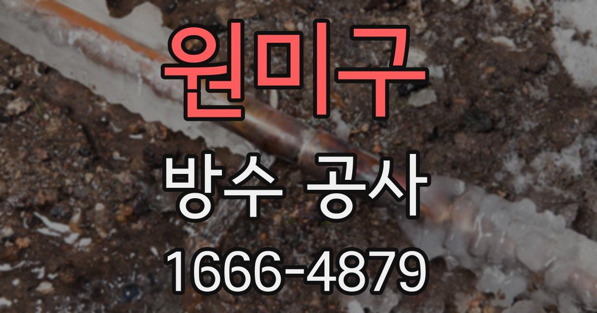 원미구 방수 공사