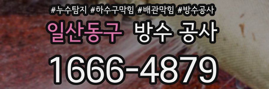 일산동구 방수 공사