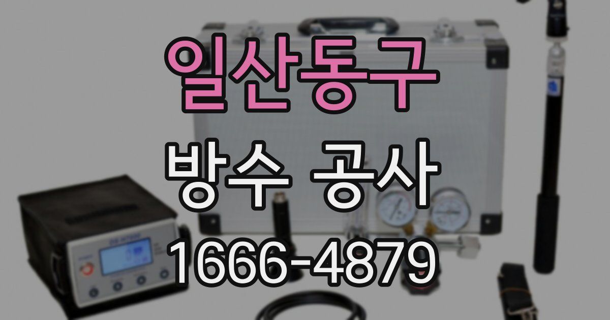 일산동구 방수 공사