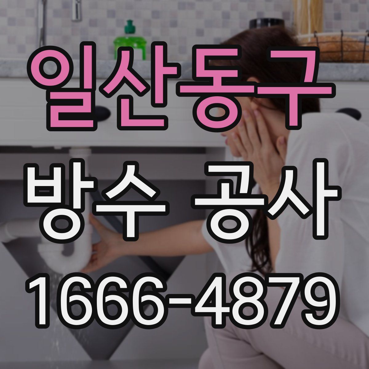 일산동구 방수 공사