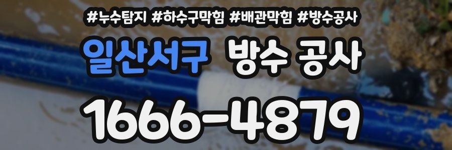 일산서구 방수 공사