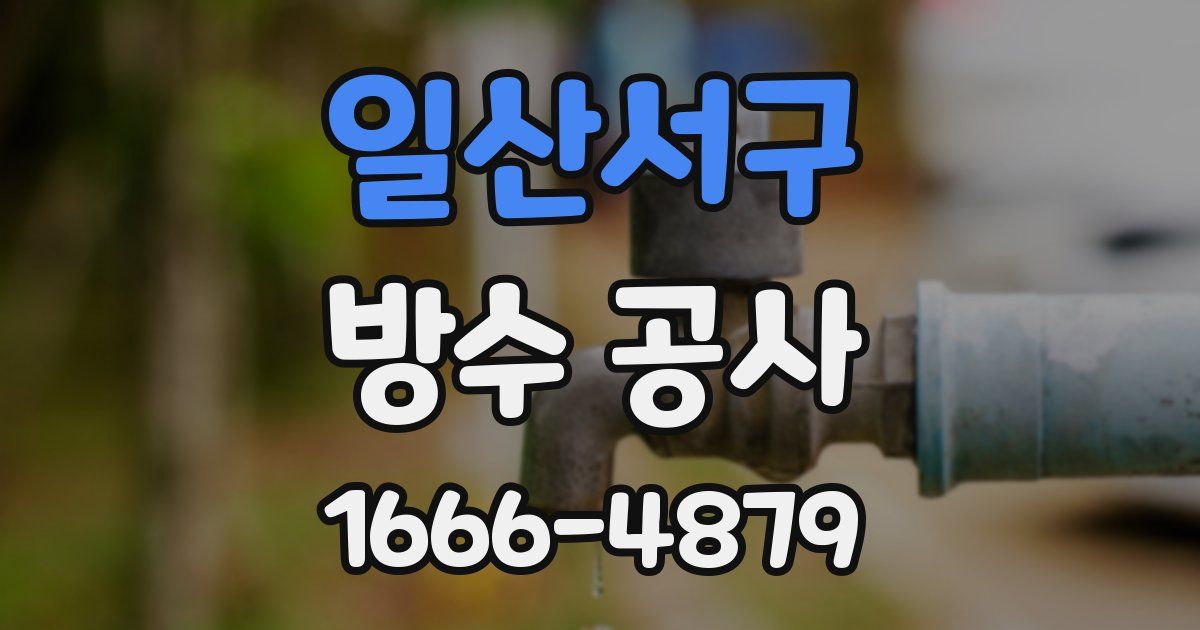 일산서구 방수 공사