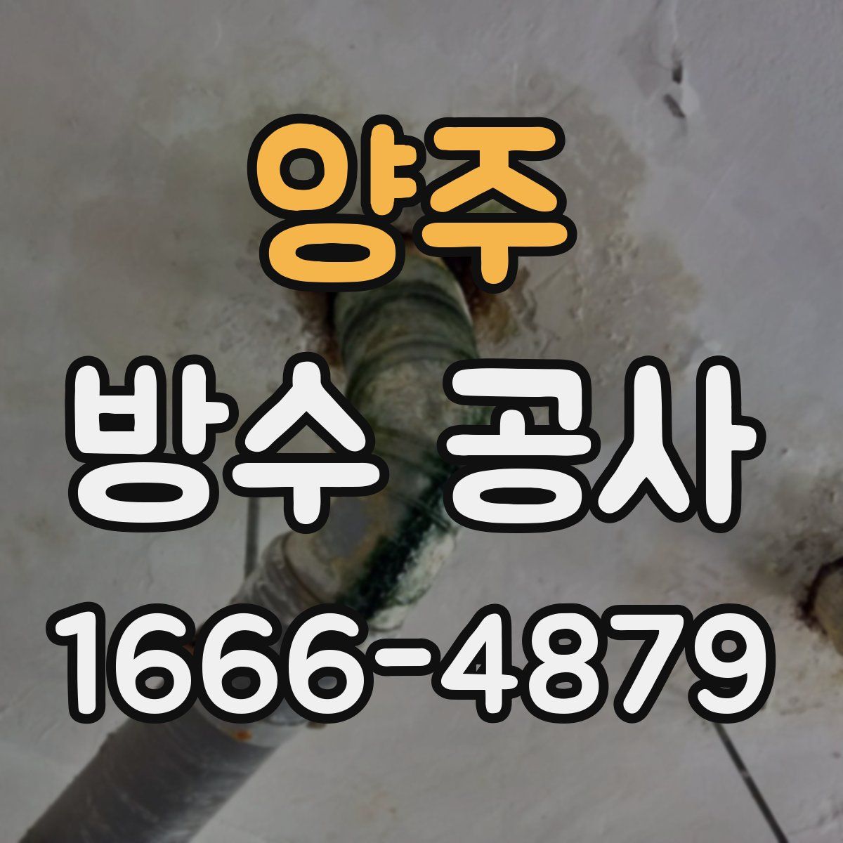 양주 방수 공사