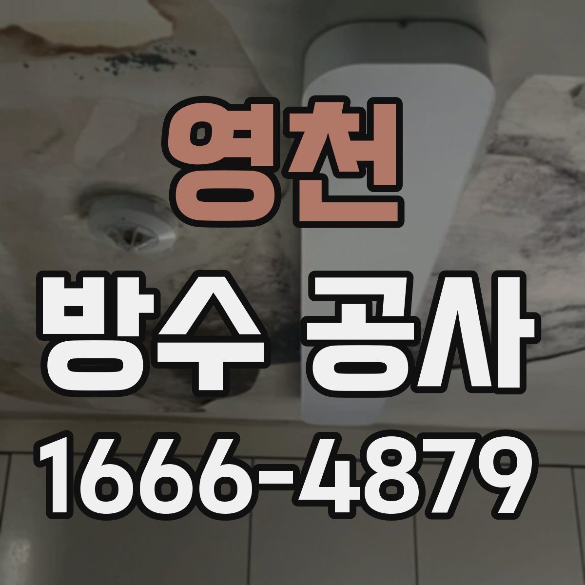 영천 방수 공사