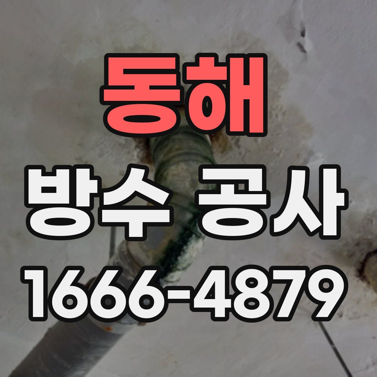 동해 방수 공사