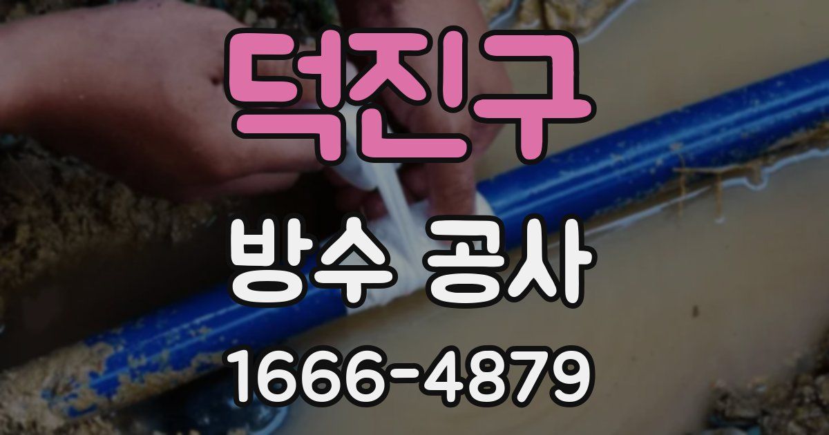 덕진구 방수 공사
