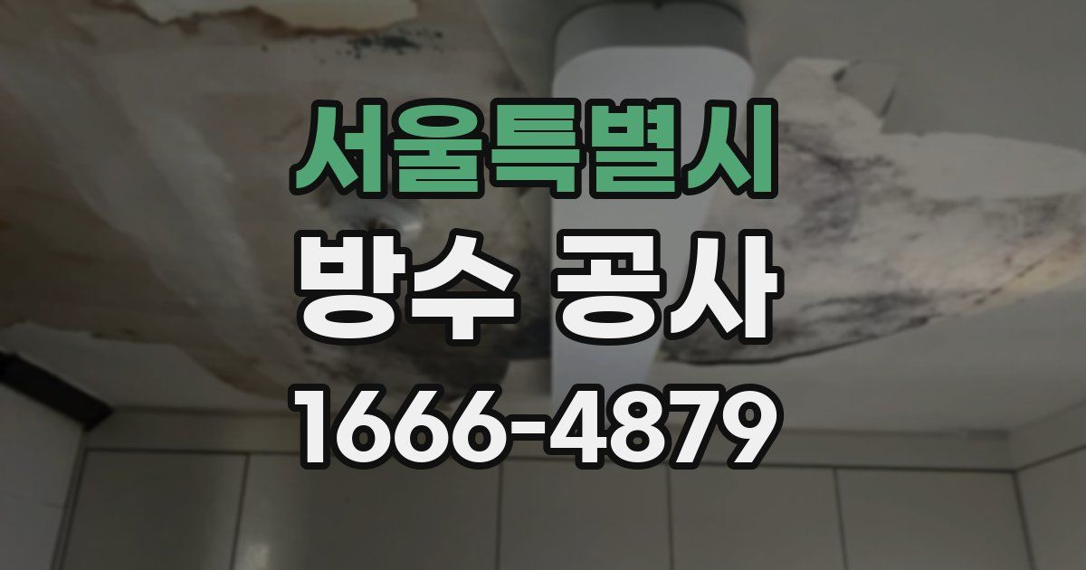 서울특별시 방수 공사