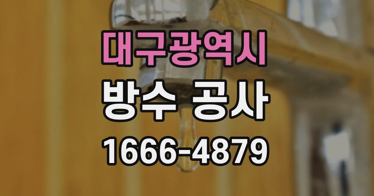대구광역시 방수 공사