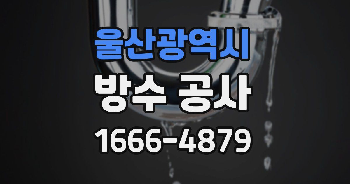 울산광역시 방수 공사