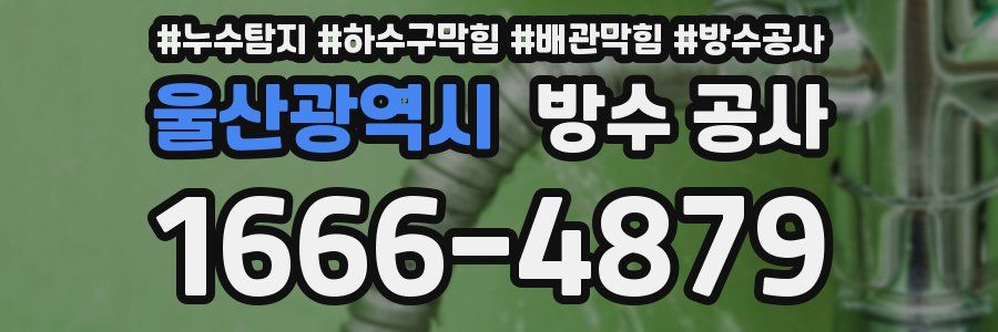 울산광역시 방수 공사