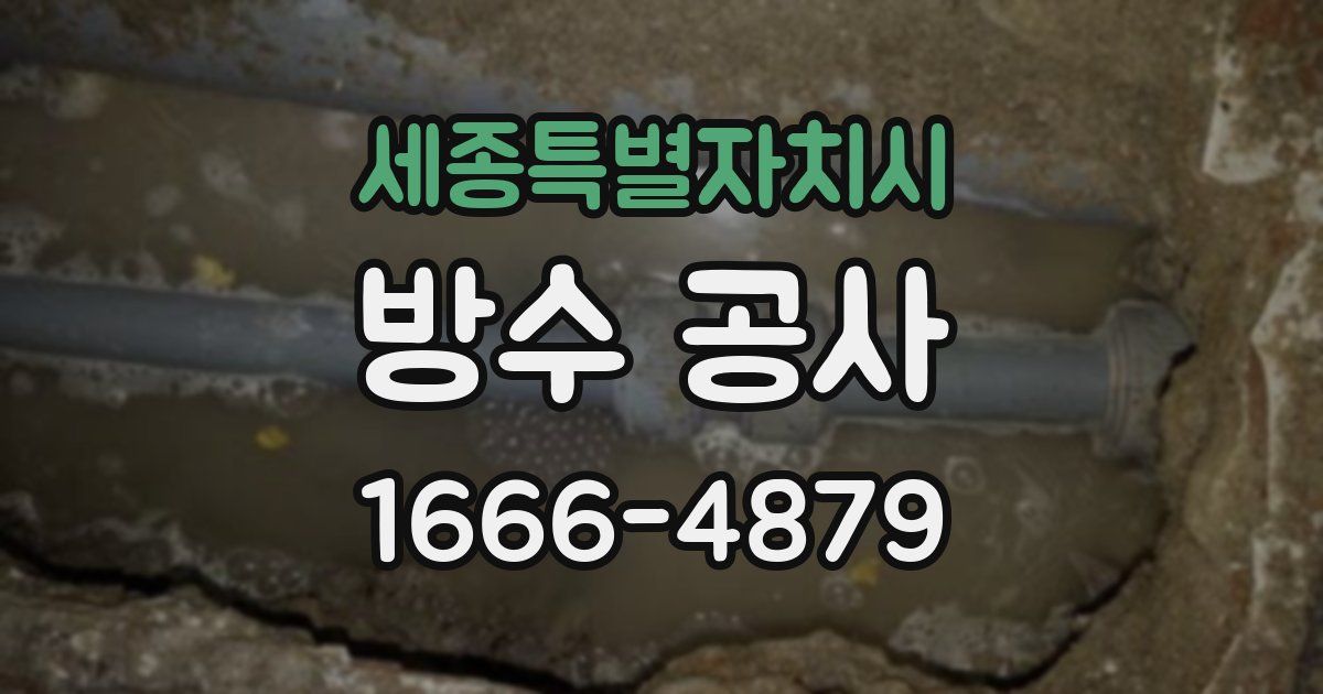 세종특별자치시 방수 공사