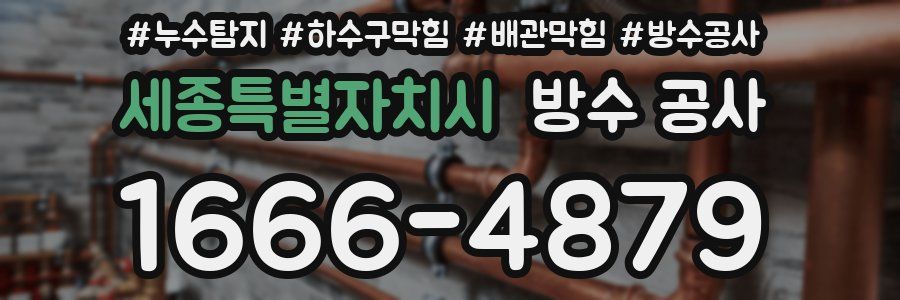 세종특별자치시 방수 공사