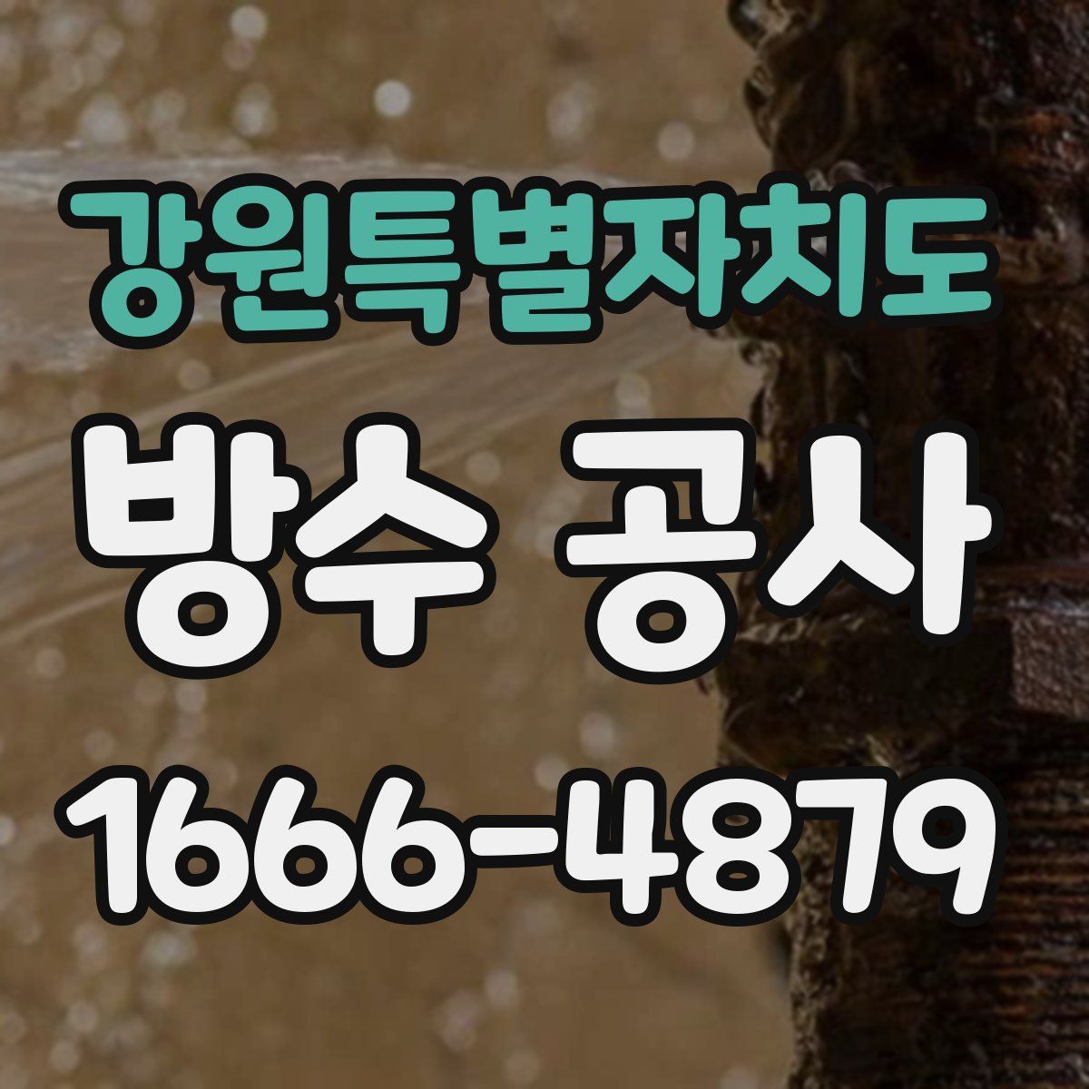 강원특별자치도 방수 공사