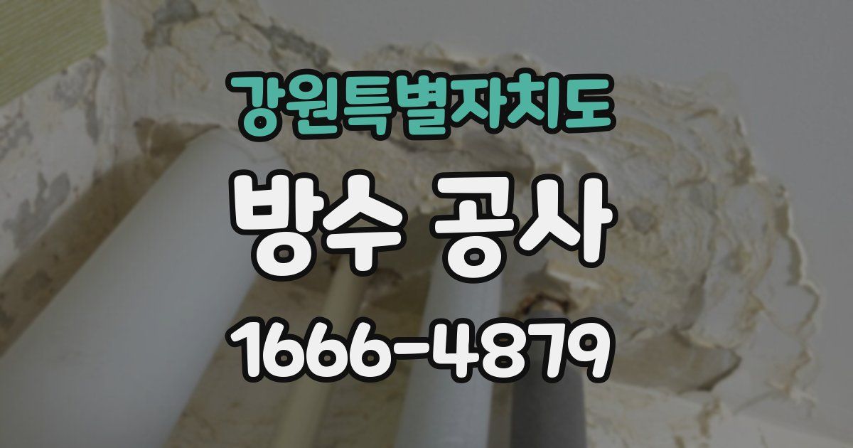 강원특별자치도 방수 공사