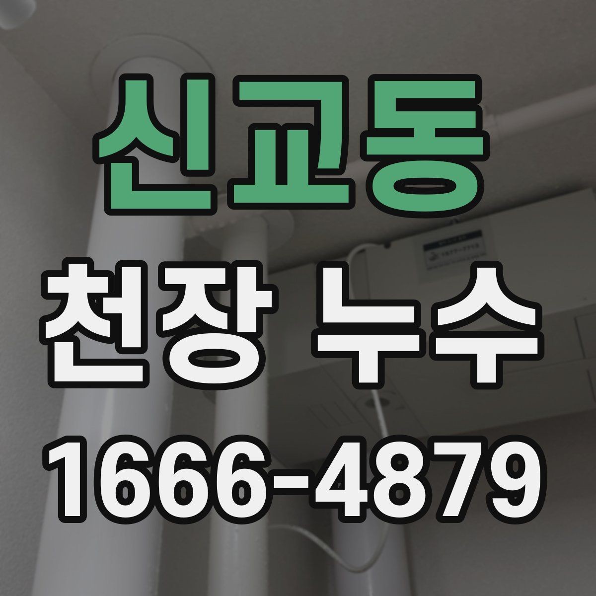 신교동 천장 누수 페인트가 벗겨지기 전에