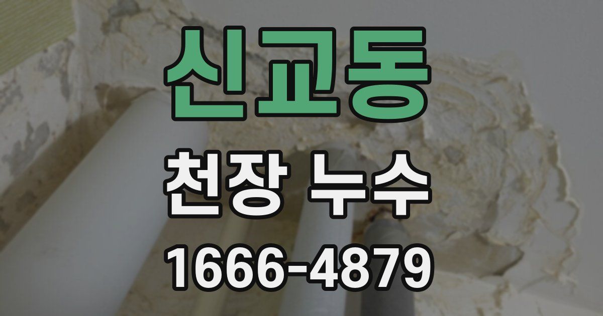 신교동 천장 누수