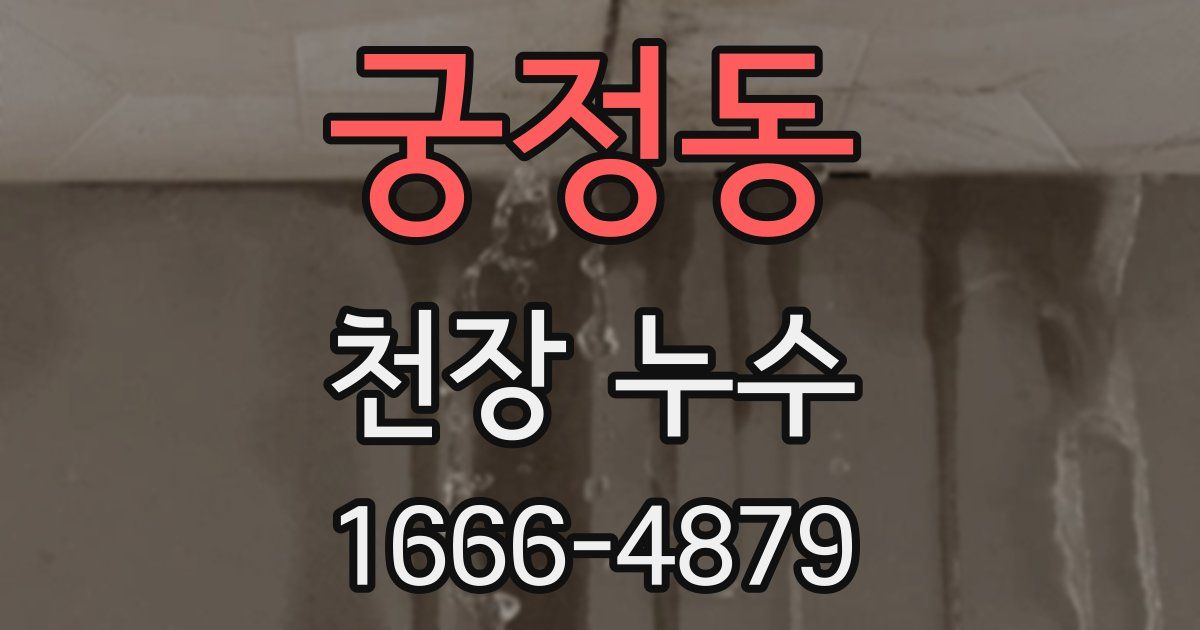 궁정동 천장 누수