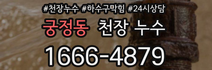 궁정동 천장 누수