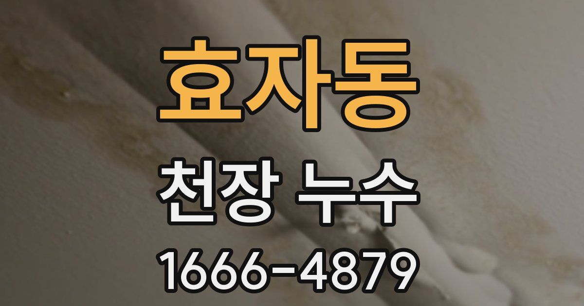 효자동 천장 누수