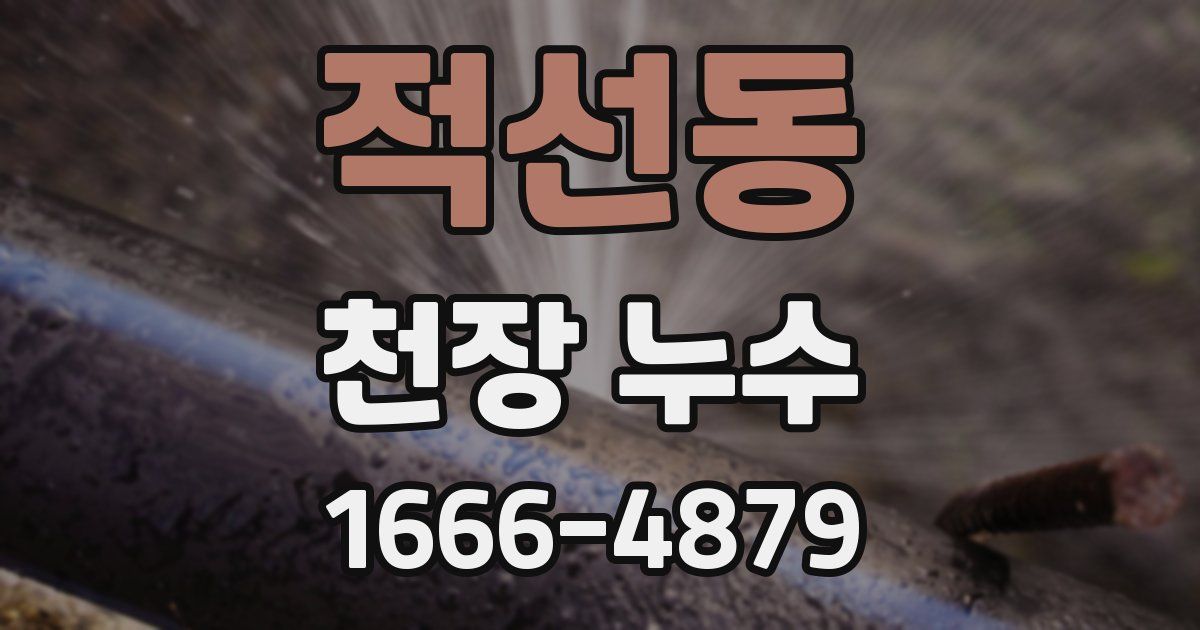 적선동 천장 누수