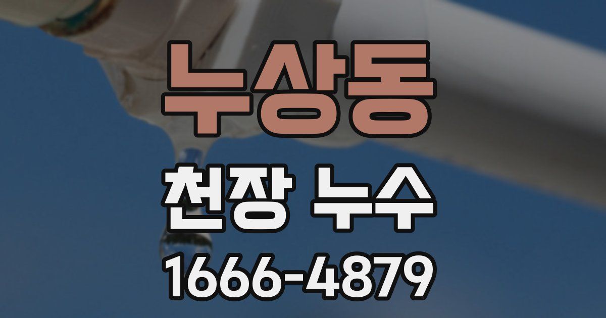 누상동 천장 누수