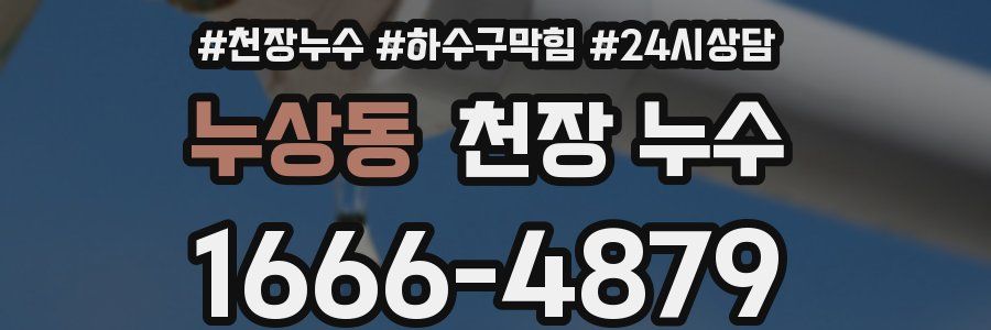 누상동 천장 누수