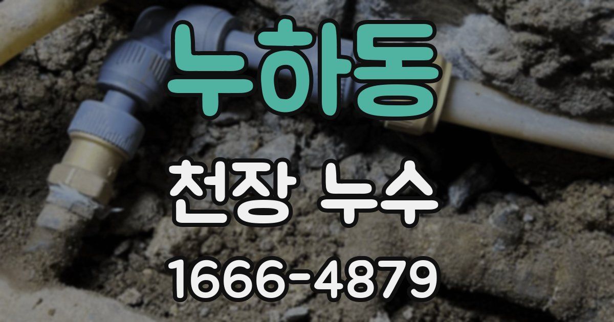 누하동 천장 누수