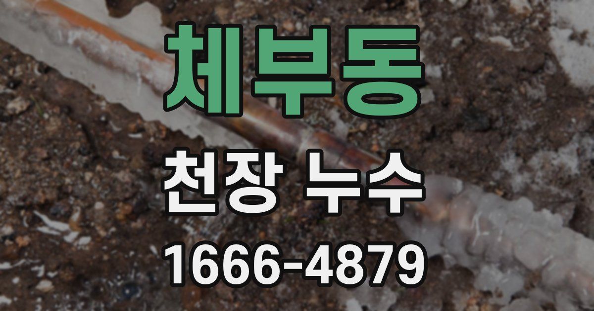 체부동 천장 누수