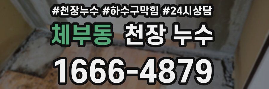 체부동 천장 누수