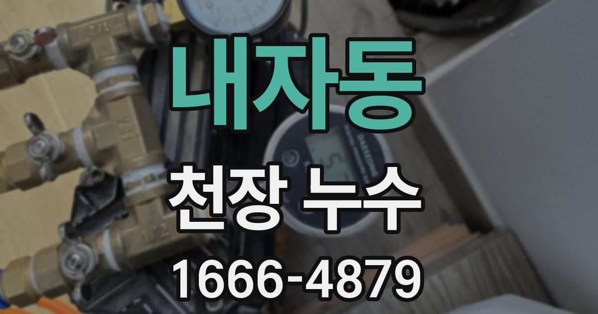 내자동 천장 누수