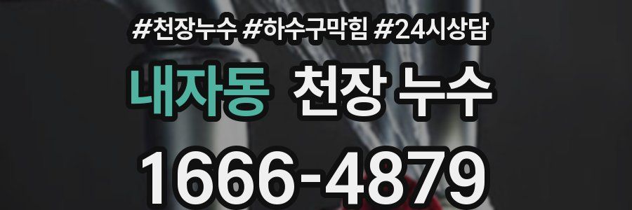 내자동 천장 누수