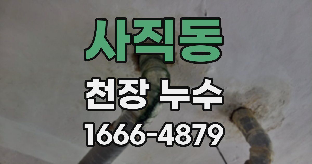 사직동 천장 누수