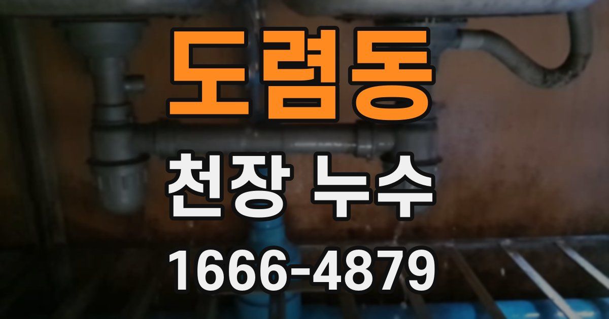 도렴동 천장 누수