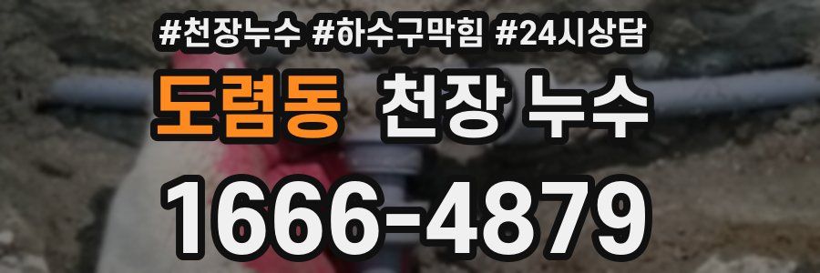 도렴동 천장 누수