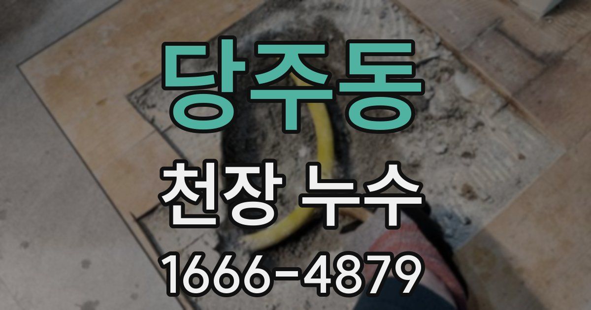 당주동 천장 누수