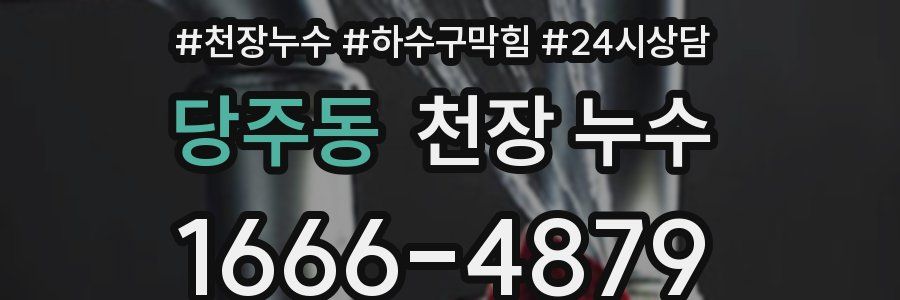 당주동 천장 누수