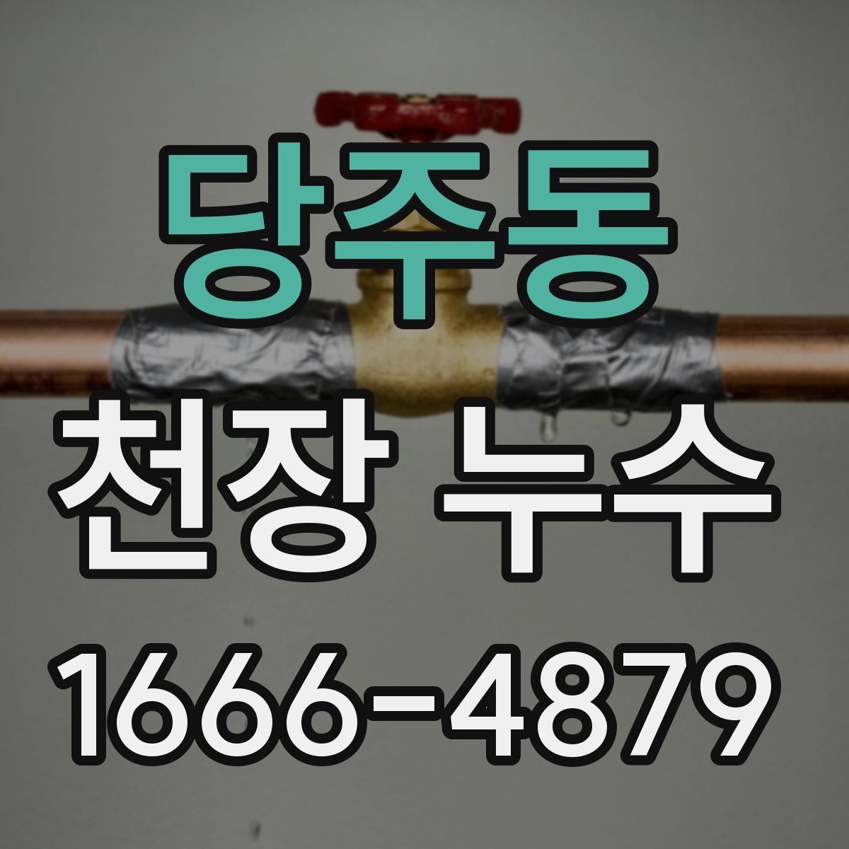 당주동 천장 누수