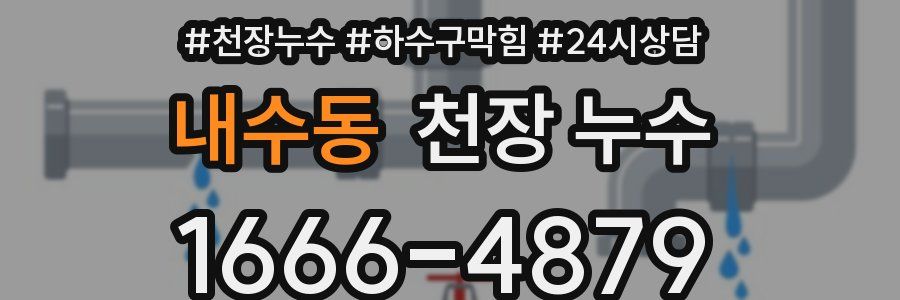 내수동 천장 누수