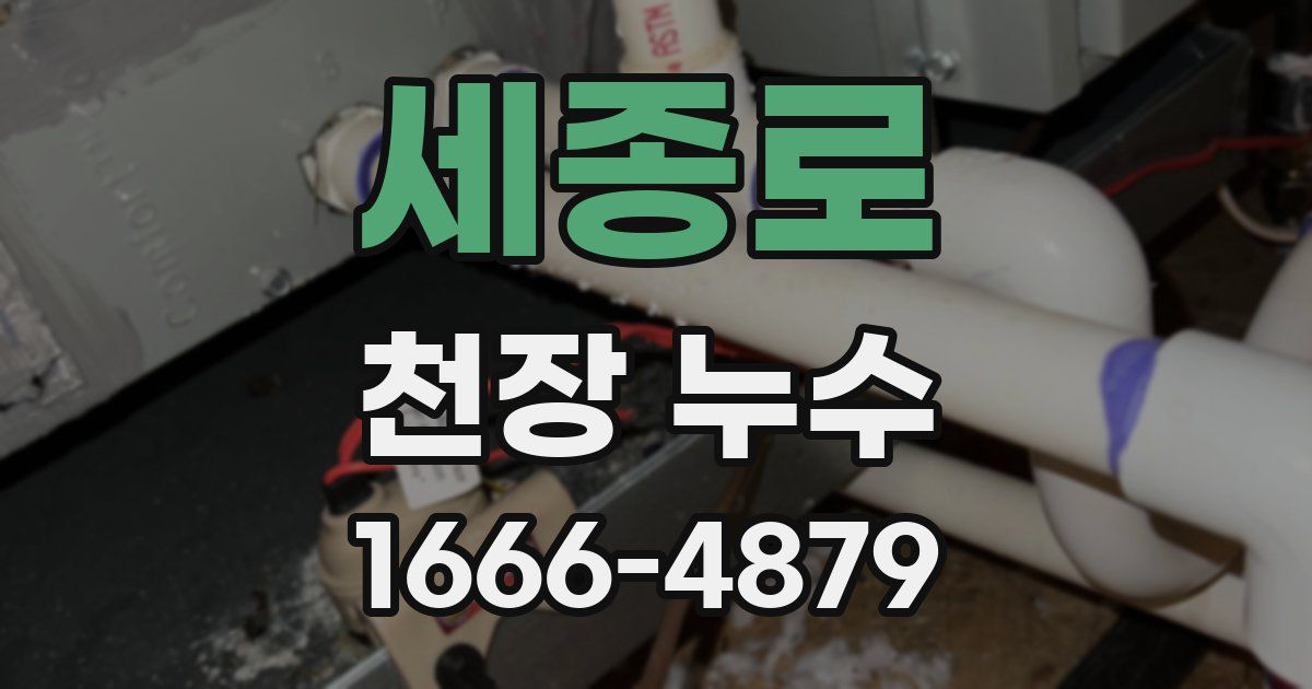 세종로 천장 누수