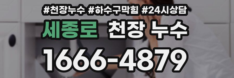 세종로 천장 누수