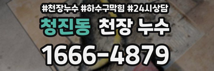 청진동 천장 누수