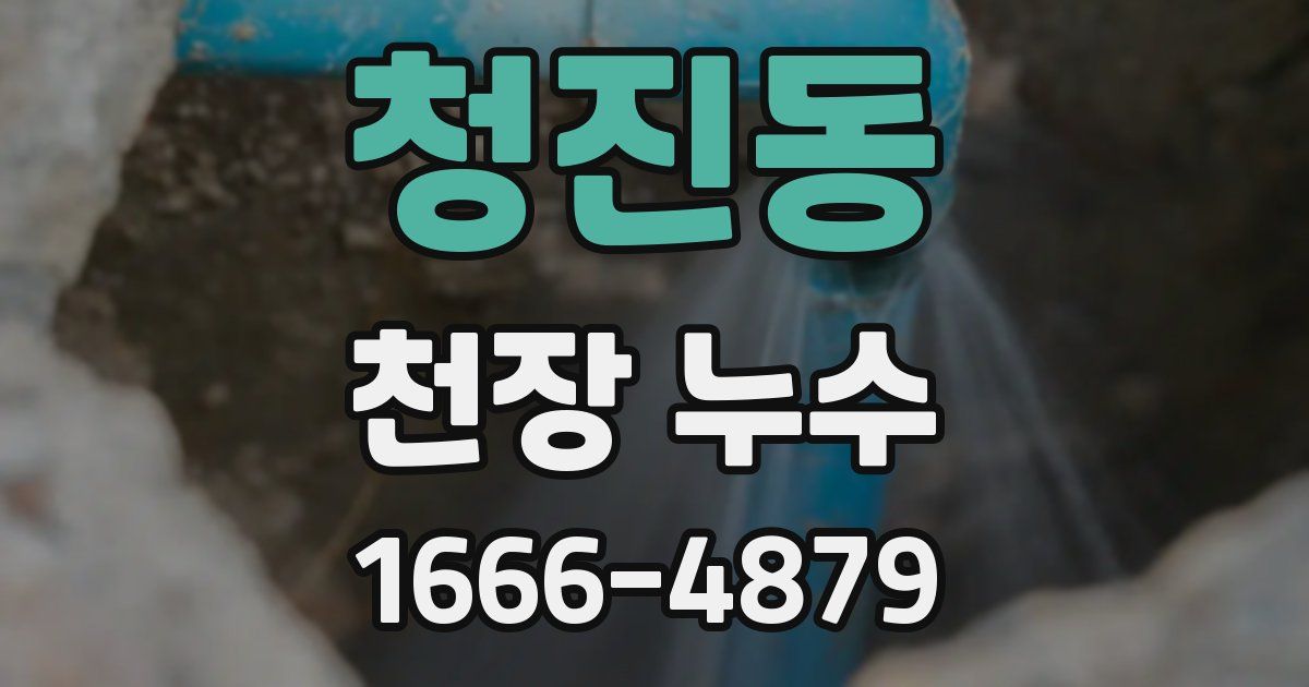 청진동 천장 누수