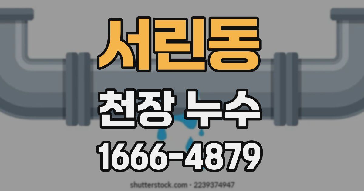 서린동 천장 누수