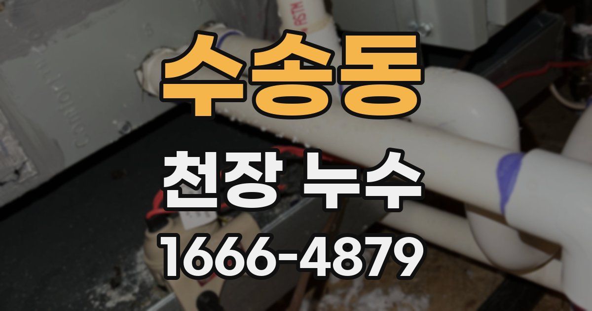 수송동 천장 누수