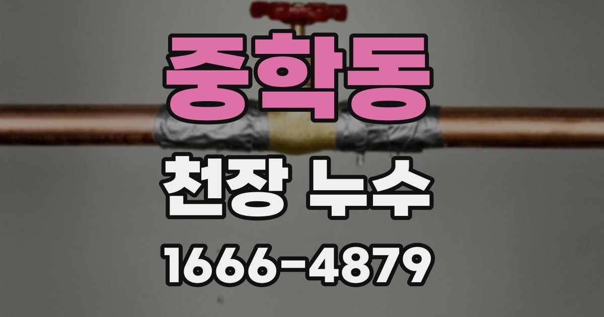 중학동 천장 누수