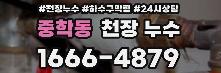 중학동 천장 누수