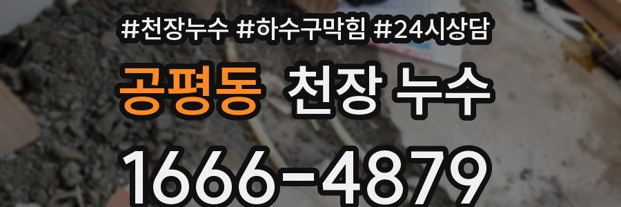 공평동 천장 누수