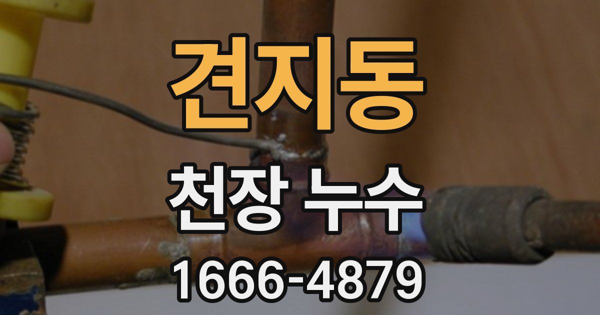 견지동 천장 누수